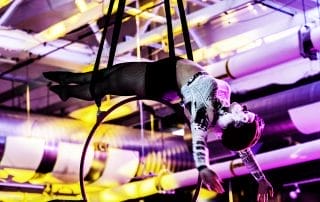 Aerial performer suspended in a hoop, showcasing acrobatic skills under colorful lights at the Halloween event.